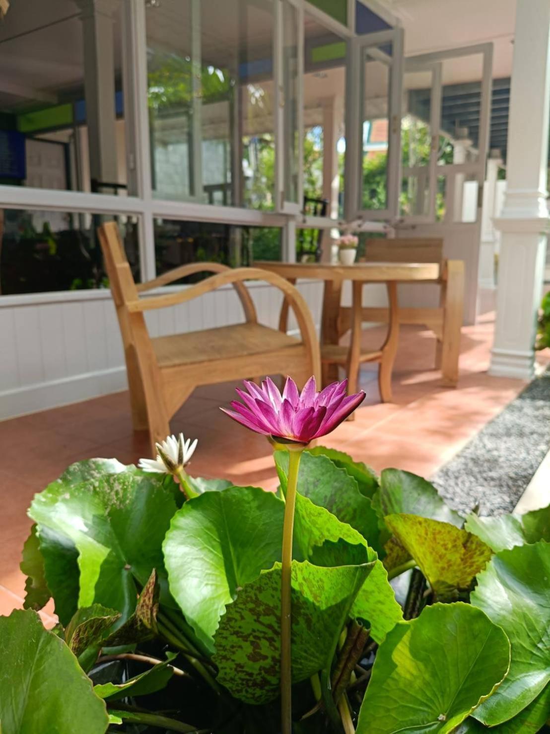 Baan Debtida Hotel Bangkok Ngoại thất bức ảnh