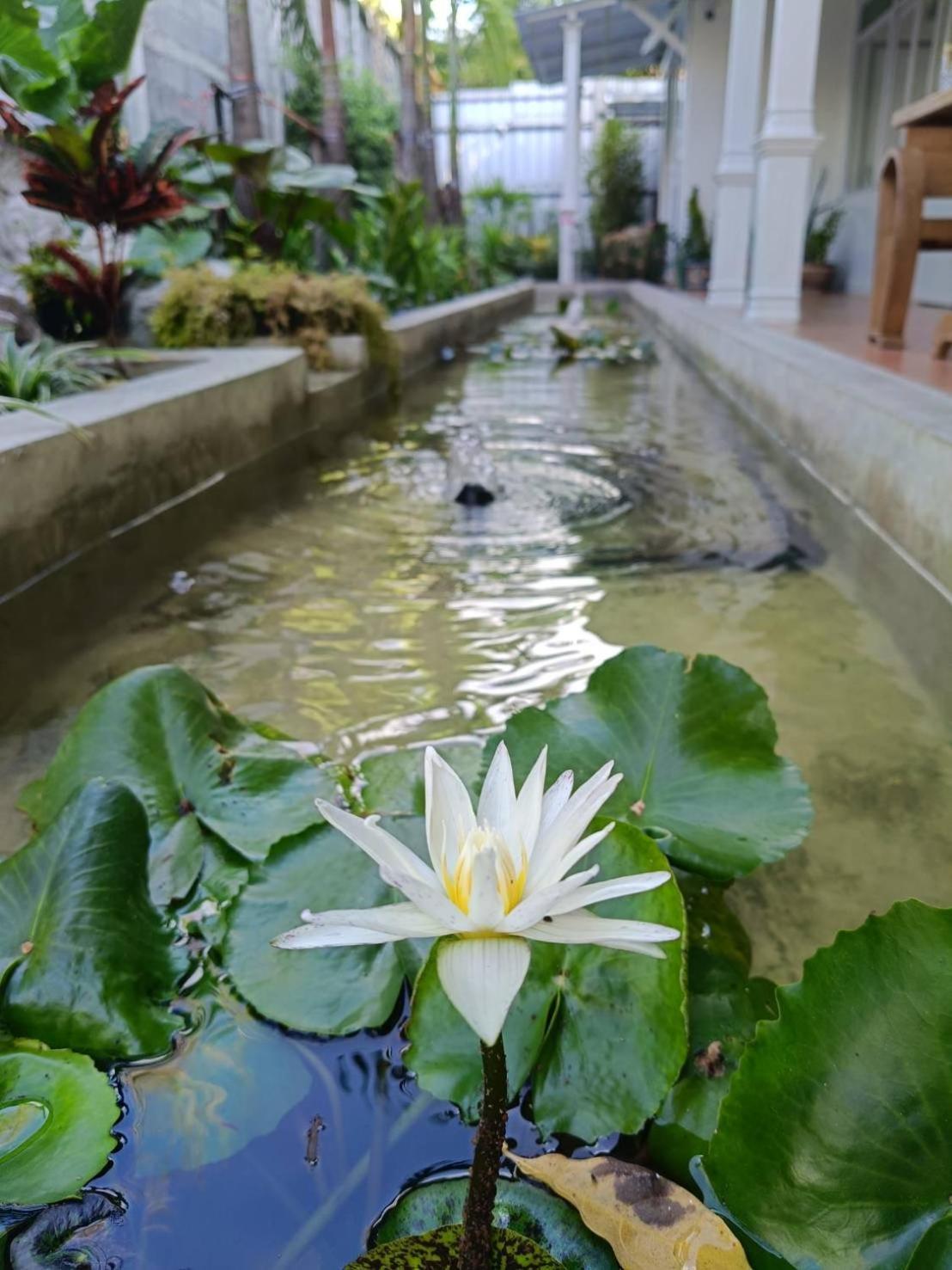 Baan Debtida Hotel Bangkok Ngoại thất bức ảnh