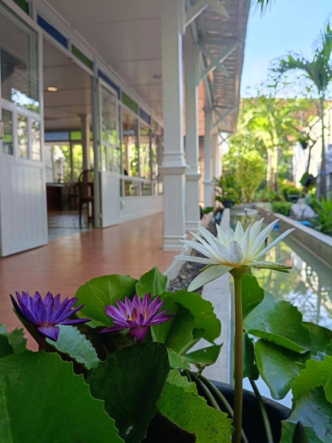 Baan Debtida Hotel Bangkok Ngoại thất bức ảnh