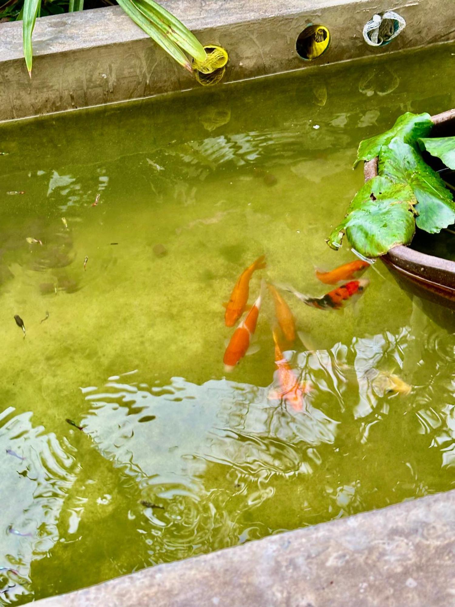 Baan Debtida Hotel Bangkok Ngoại thất bức ảnh
